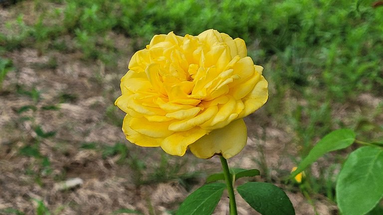20240610_181254.jpg