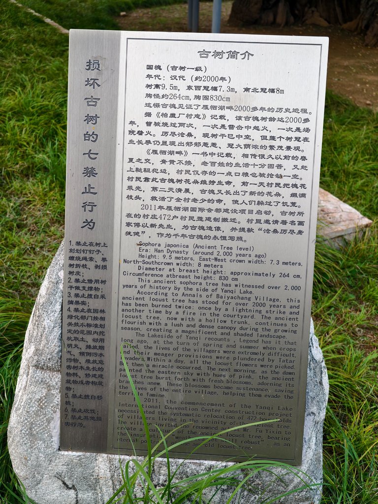 Weixin Image_2025-08-19_202602_128.jpg