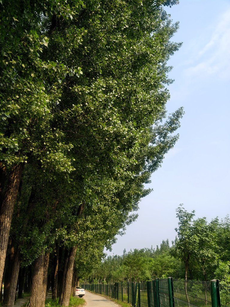 IMG_20250525_154828.jpg