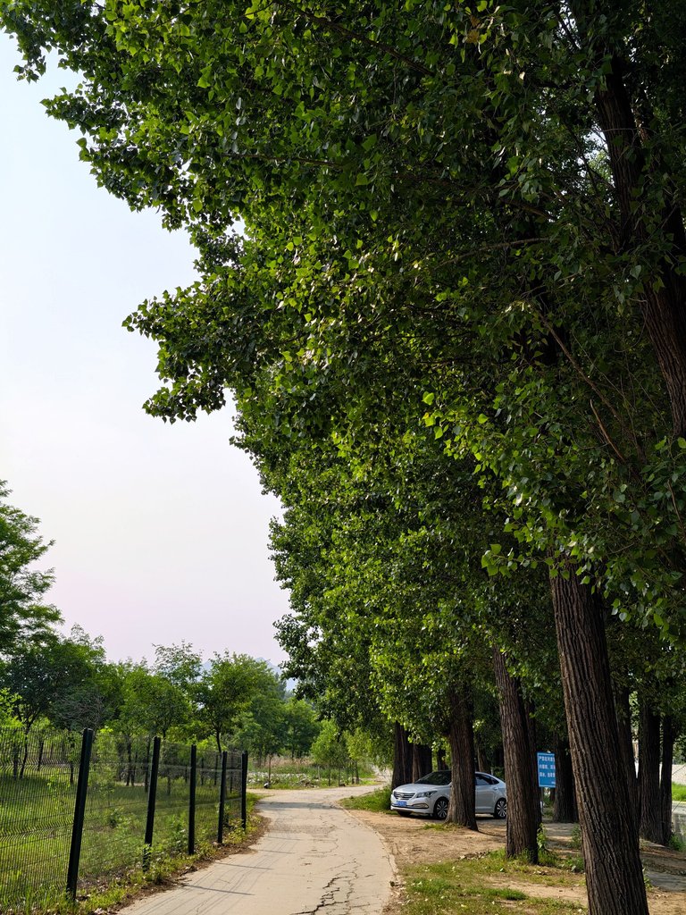 IMG_20250525_154320.jpg
