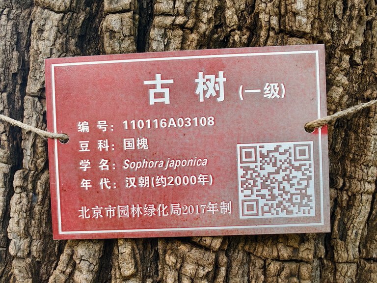 Weixin Image_2025-08-19_202355_592.jpg