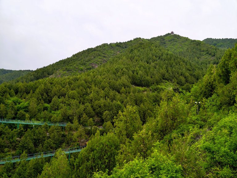IMG_20250504_155835.jpg