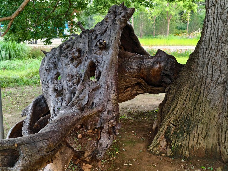 Weixin Image_2025-08-19_202339_871.jpg