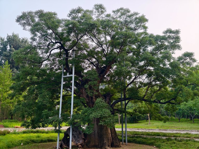Weixin Image_2025-08-19_202248_111.jpg