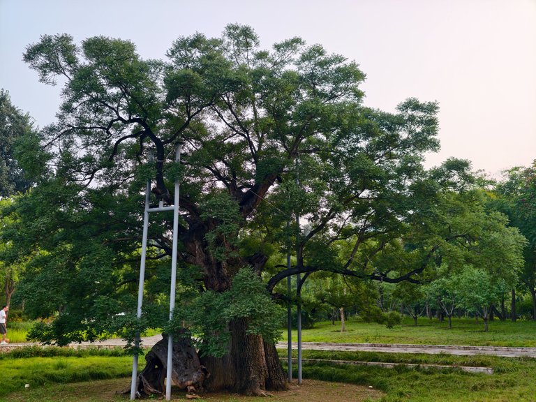 Weixin Image_2025-08-19_202222_440.jpg
