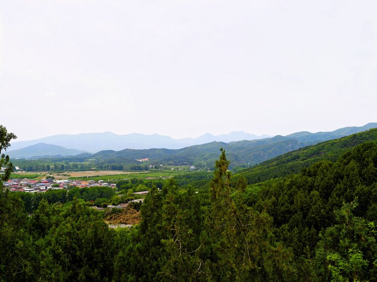 IMG_20250504_155700.jpg