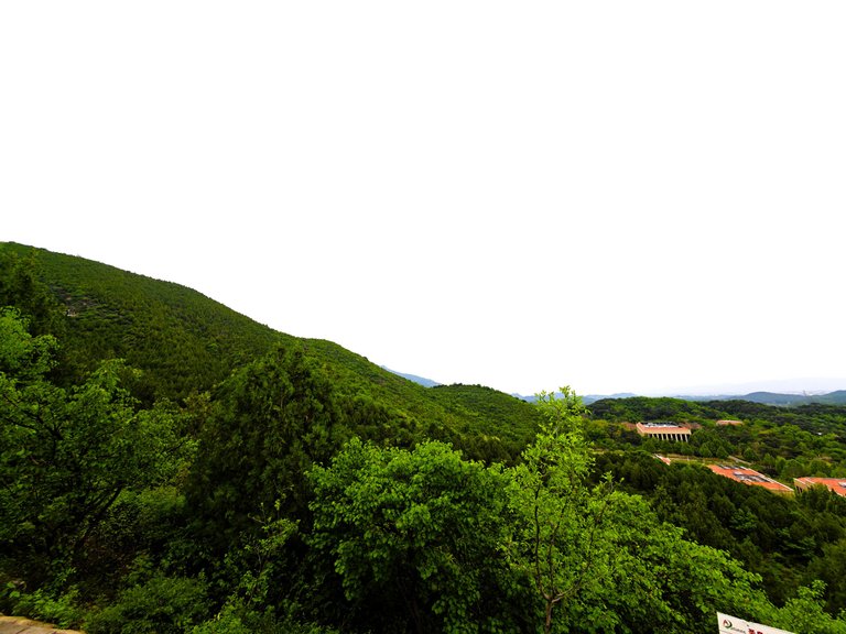 IMG_20250504_155717.jpg