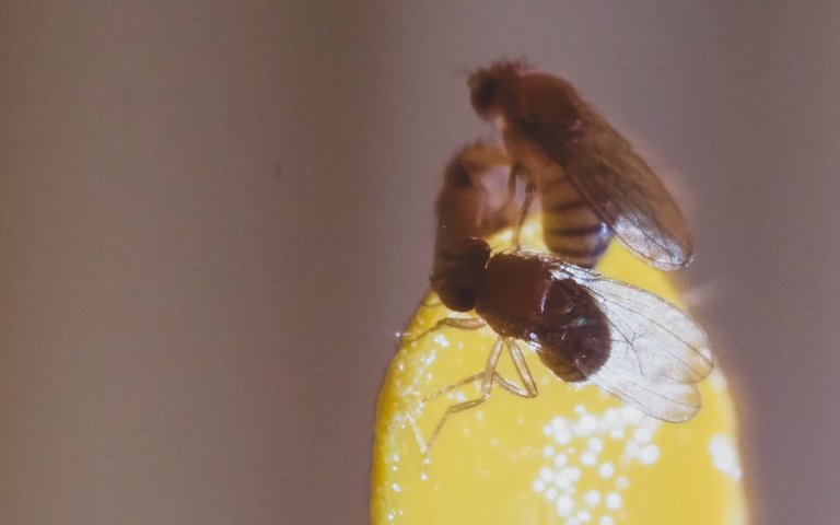 P9151889.jpg