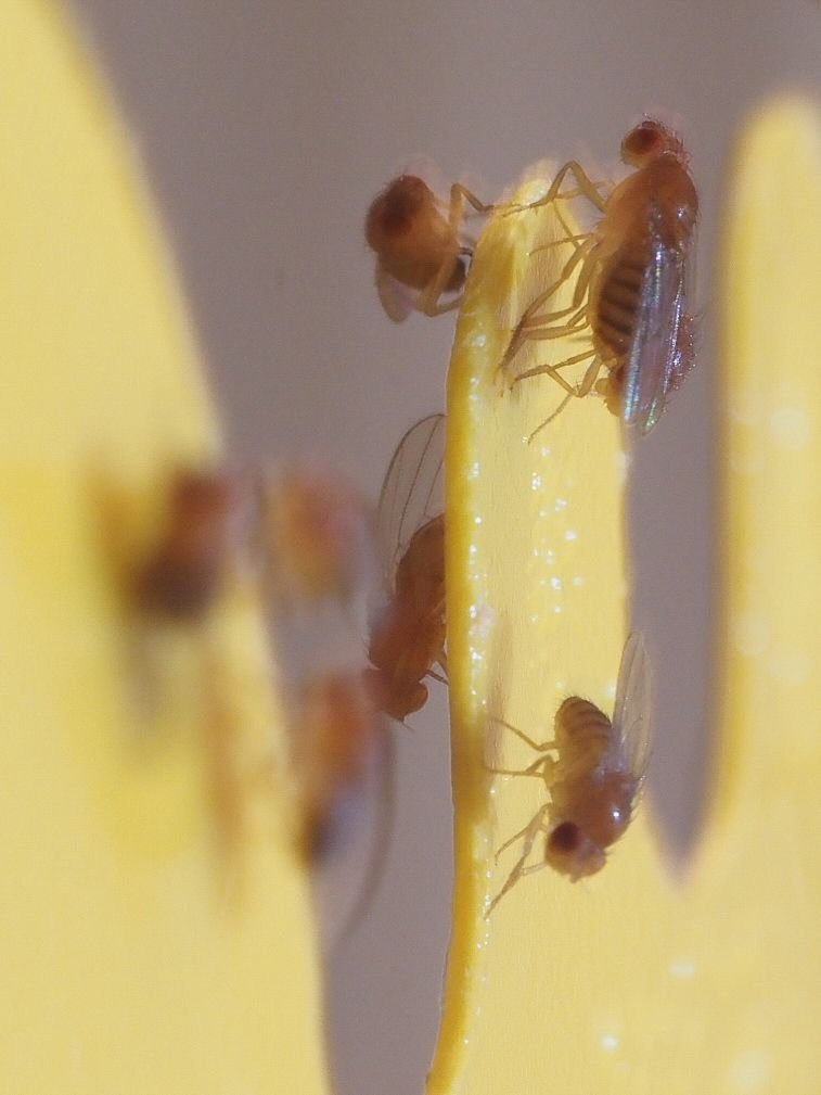P9151859.jpg