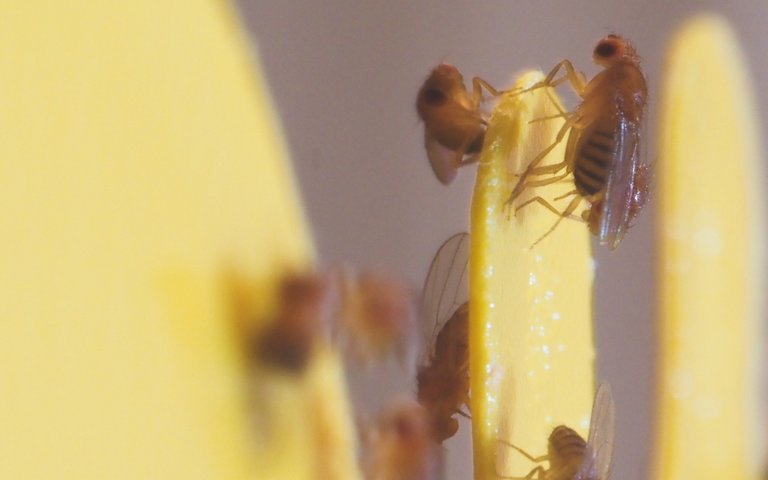 P9151860.jpg