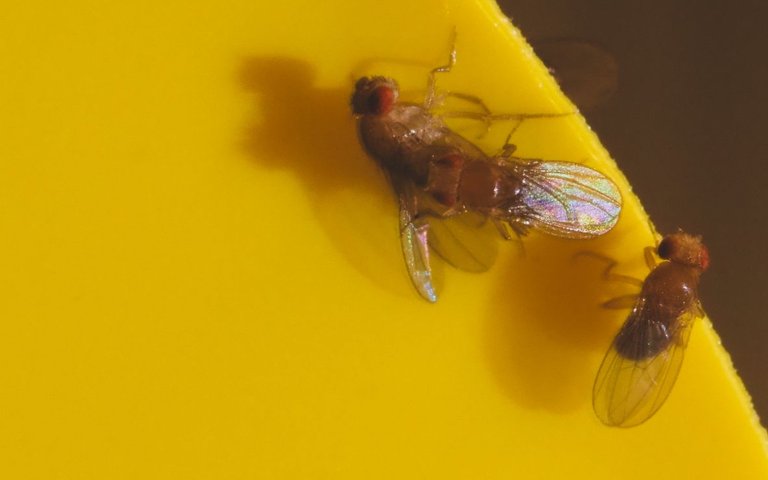 P9151893.jpg