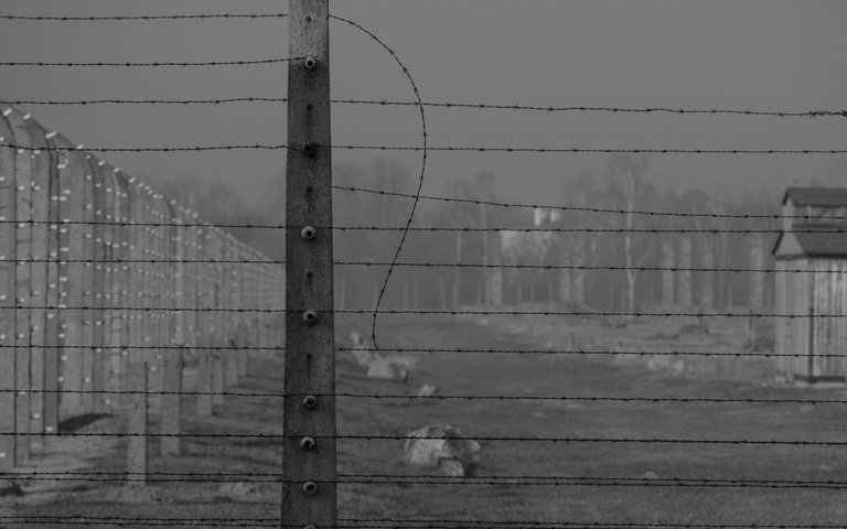 auschwitz adjusted 19 of 56.jpg