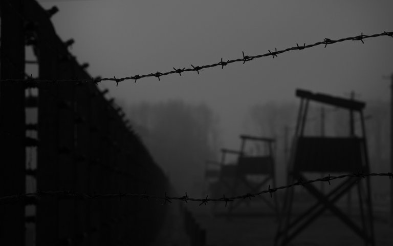 auschwitz adjusted 12 of 56.jpg