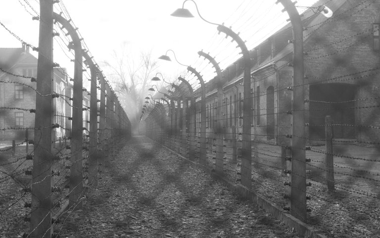 auschwitz adjusted 42 of 56.jpg