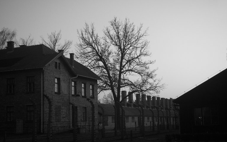 auschwitz adjusted 56 of 56.jpg