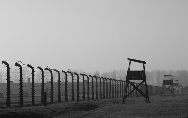 auschwitz adjusted 14 of 56.jpg