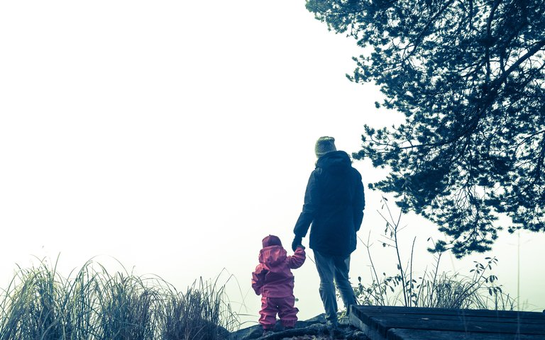 fog and family.jpg