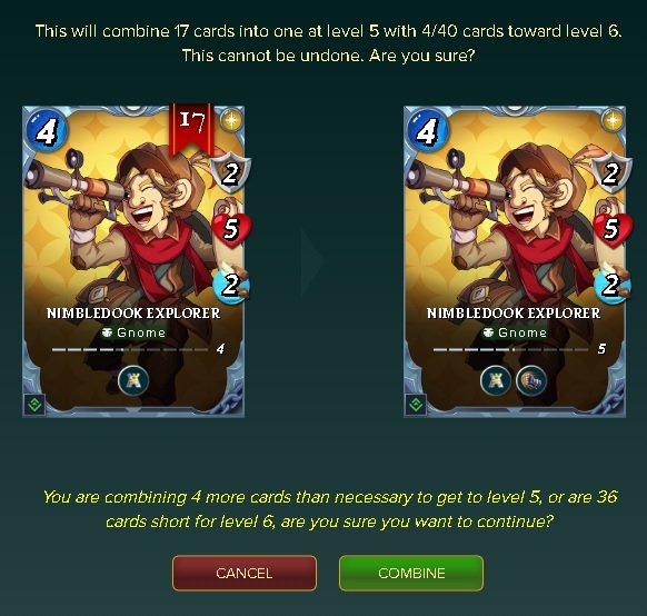 t5.jpg