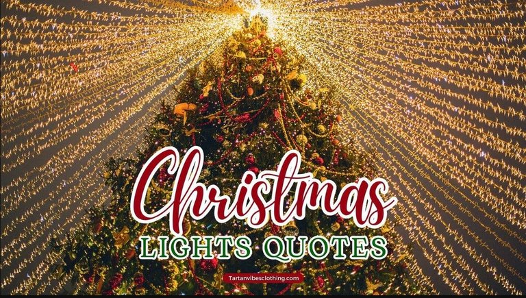 70 Christmas Lights Quotes to Light Up Your Holiday in 2024.jpg