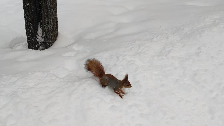 IMG_20220128_111232.jpg
