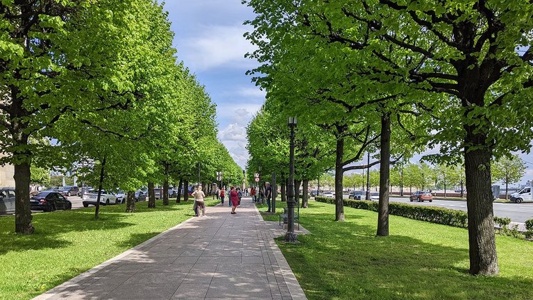 PXL_20250527_110443149.jpg
