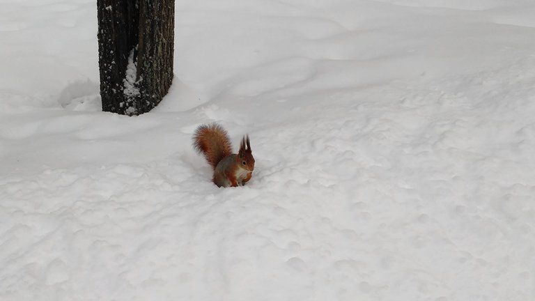 IMG_20220128_111230.jpg