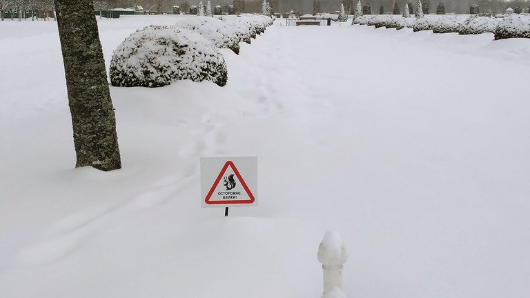IMG_20220128_113457.jpg