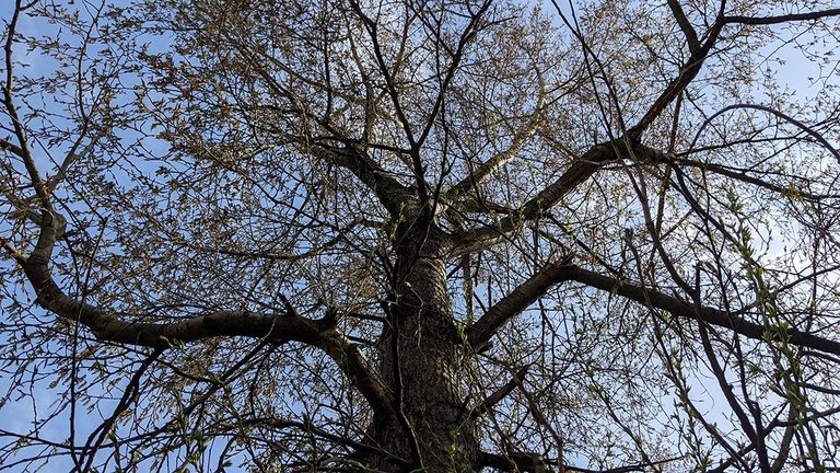 PXL_20250419_115658820.jpg