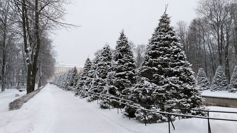 IMG_20220128_121509.jpg