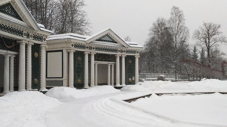 IMG_20220128_110620.jpg