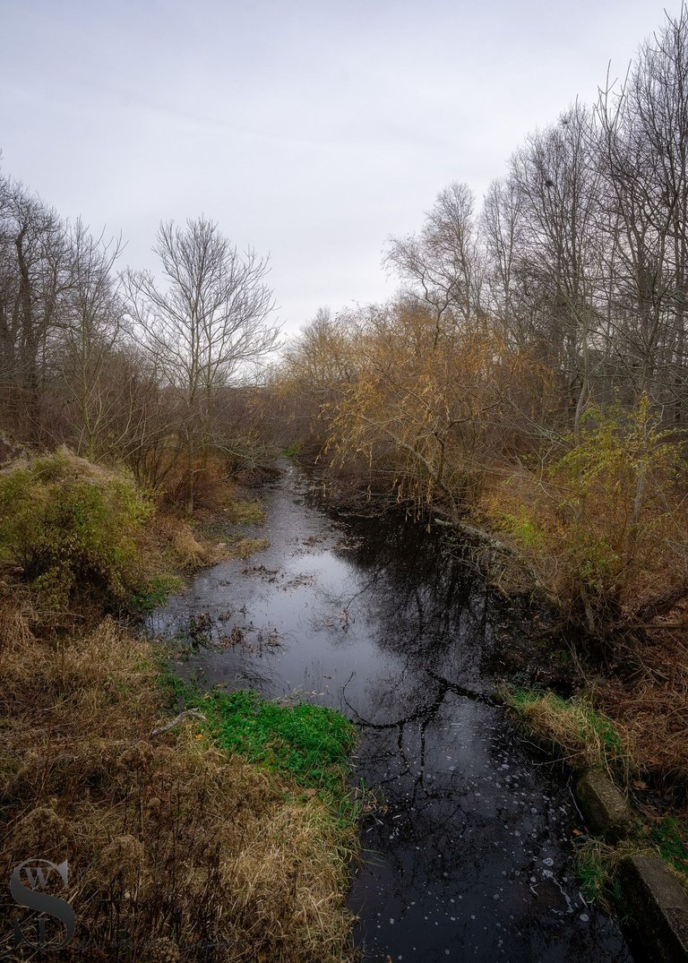 ww icy pond-4.jpg