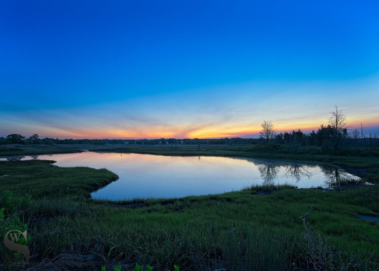 early morning on the rail trail-2.jpg