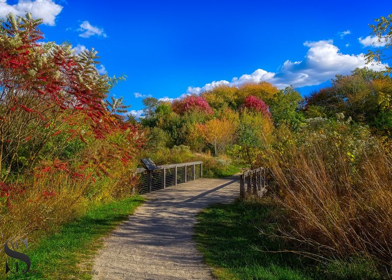 more fall colors at the sawmill.jpg