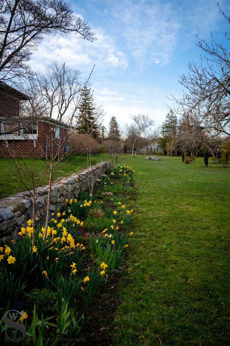 buttonwood park-4.jpg