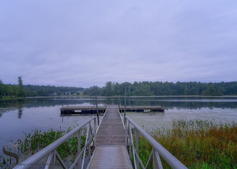walk the plank-6.jpg