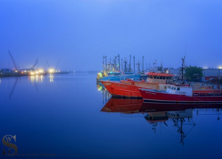 foggy on popes island-5.jpg