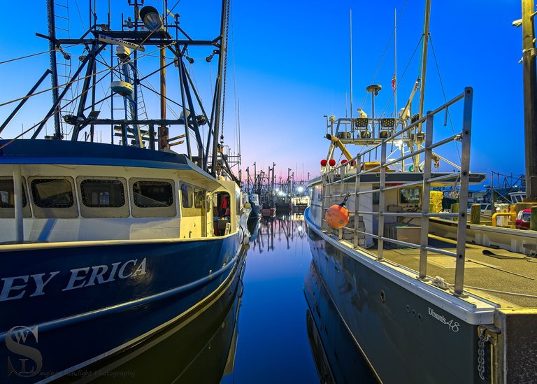 early morning at the port-2.jpg