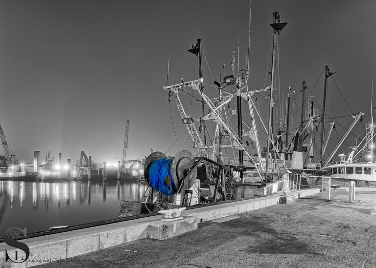 mono and a splash of color-4.jpg