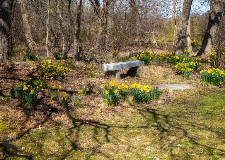 sb spring-2.jpg