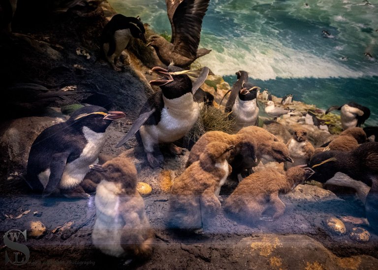 mf Natural History Museum-2.jpg