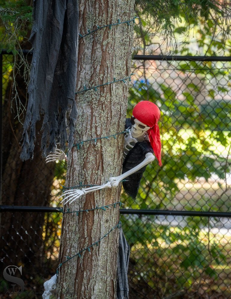 boo at the zoo-4.jpg