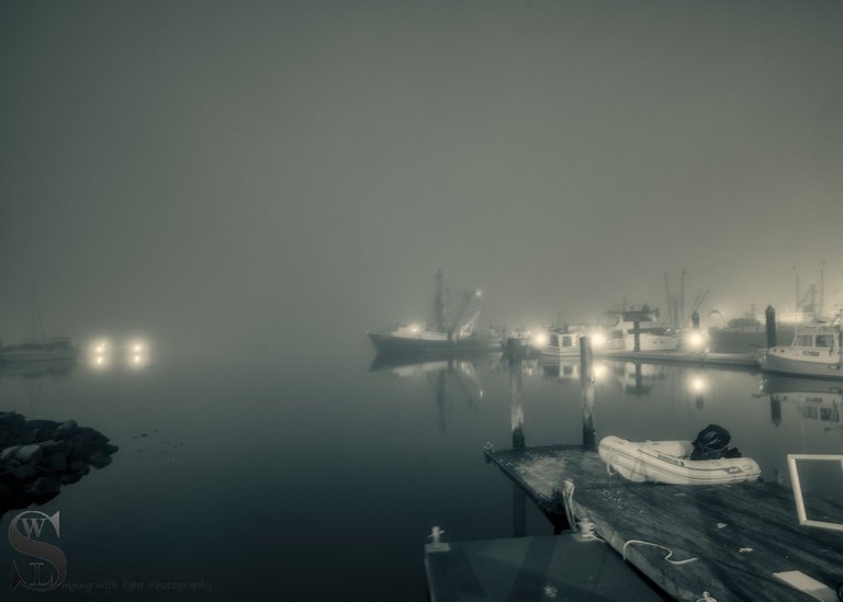mono some recent-4.jpg