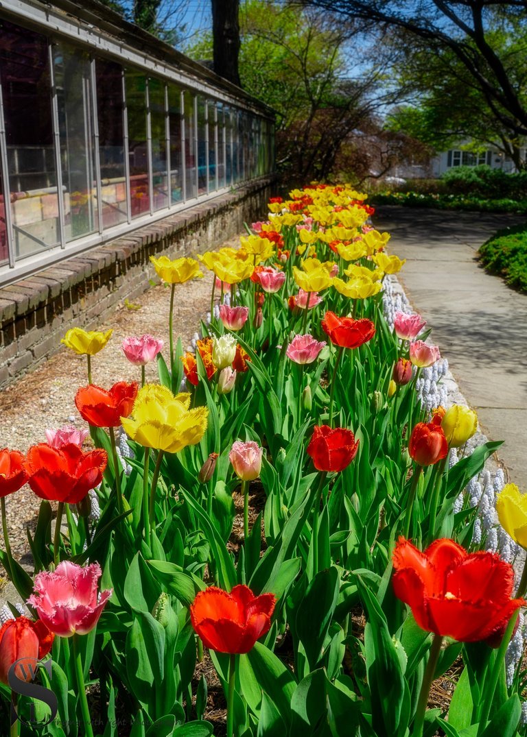 sb spring-5.jpg