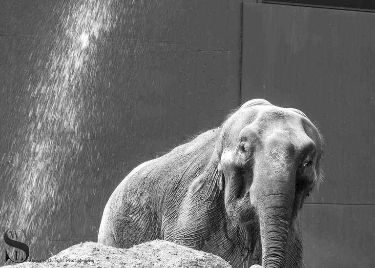 mono at the zoo-3.jpg