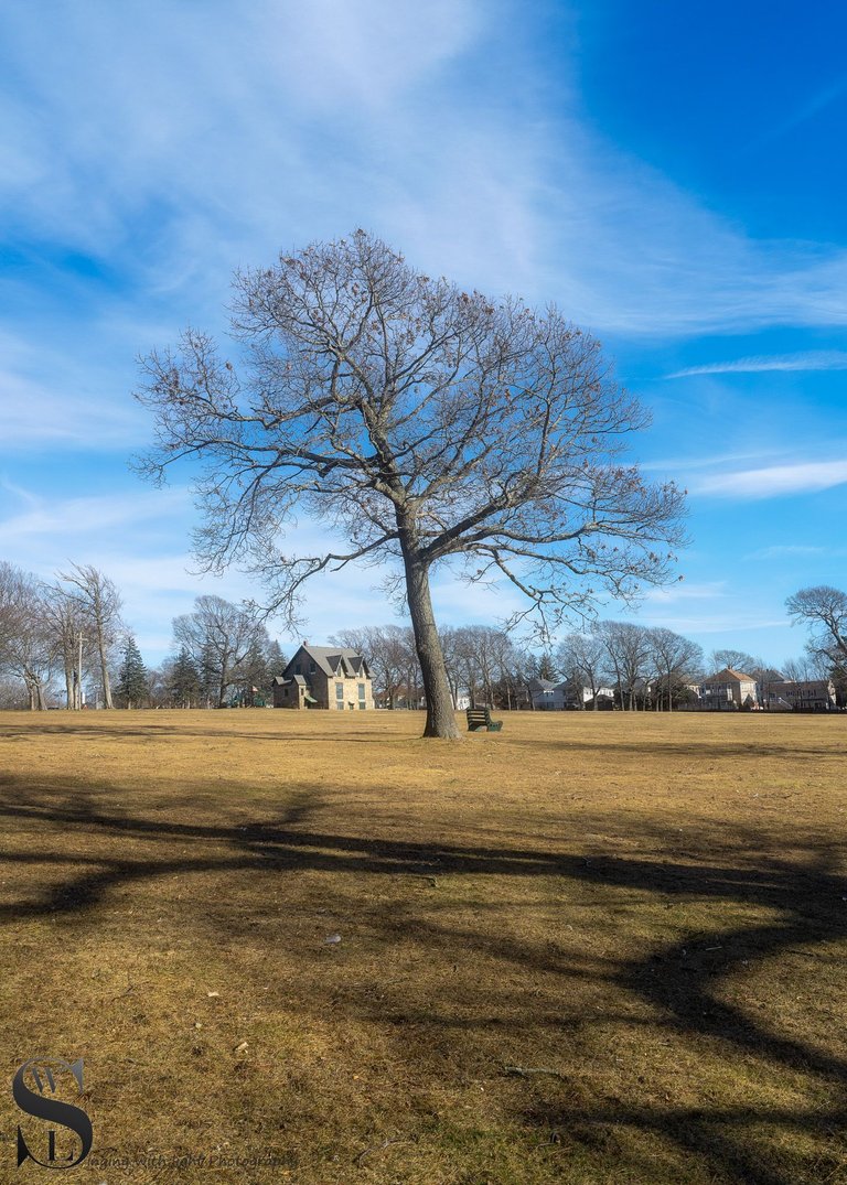 Shadows hazelwood park_-5.jpg