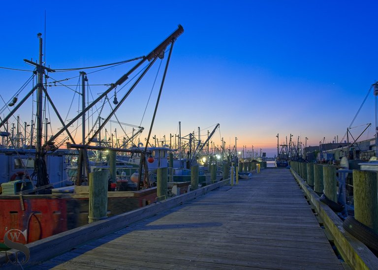 port early morning-2.jpg