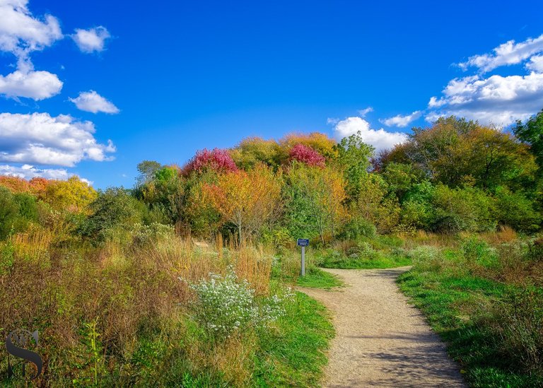 more fall colors at the sawmill-2.jpg