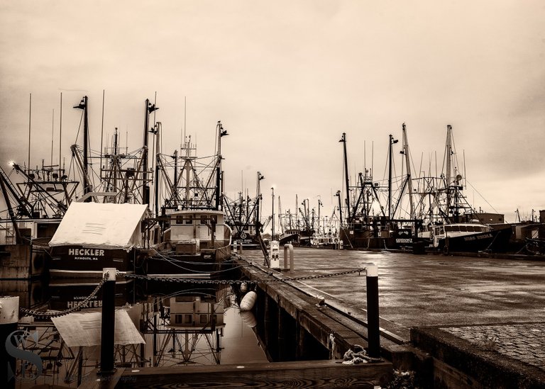 mono pier FOGGY-4.jpg