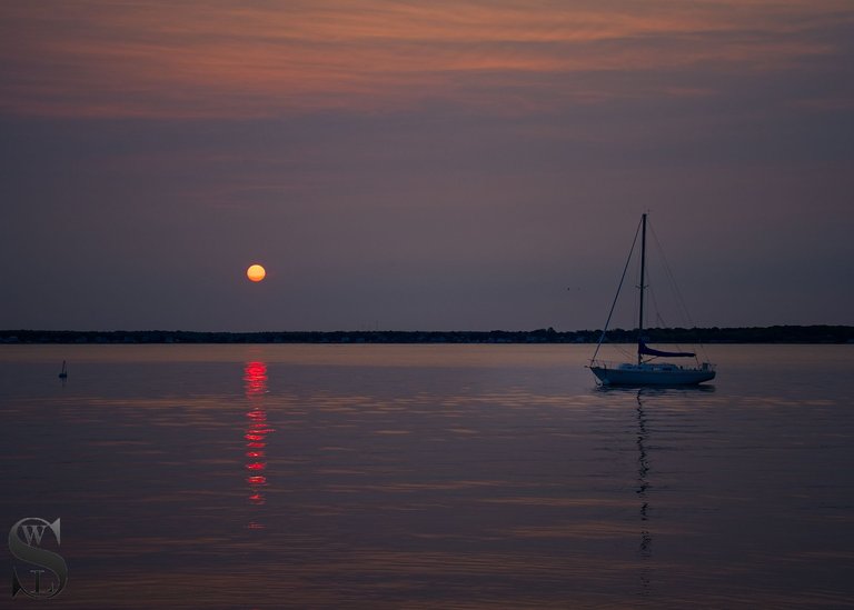 rising sun-5.jpg