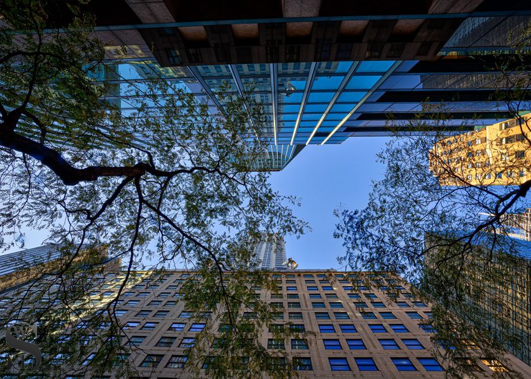 looking up NYC-4.jpg